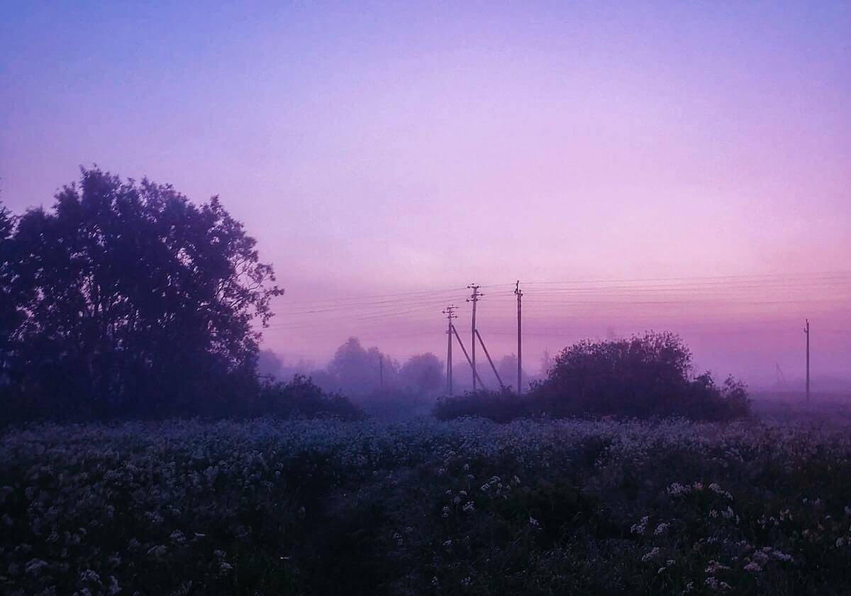 OD体育直播-WTT重庆冠军赛:王楚钦等国乒四将晋级16强